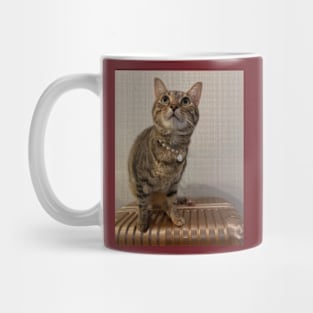 cat lover gifts Mug